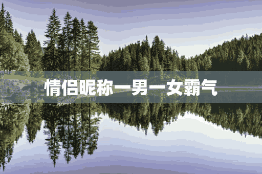 情侣昵称一男一女霸气(情侣昵称一男一女霸气带符号)